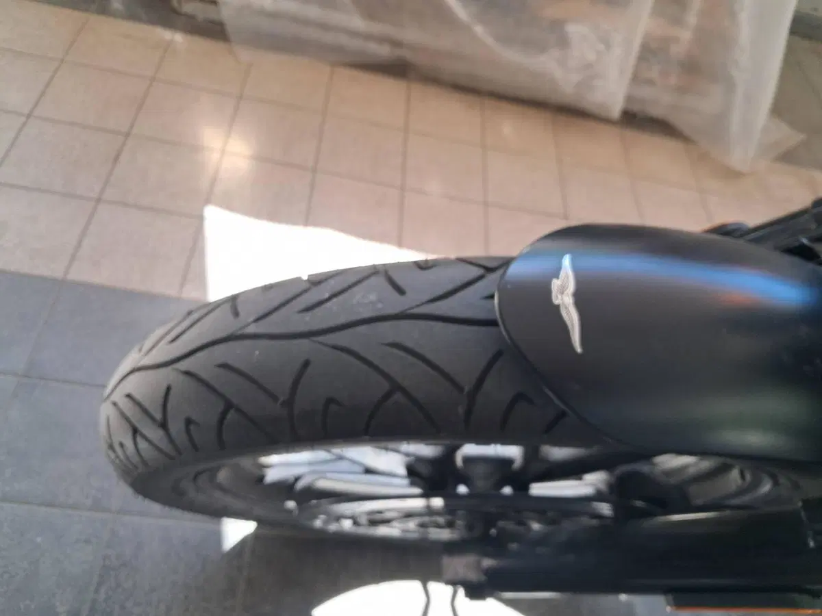 Moto Guzzi V7 III Stone (2017 - 20) (4)