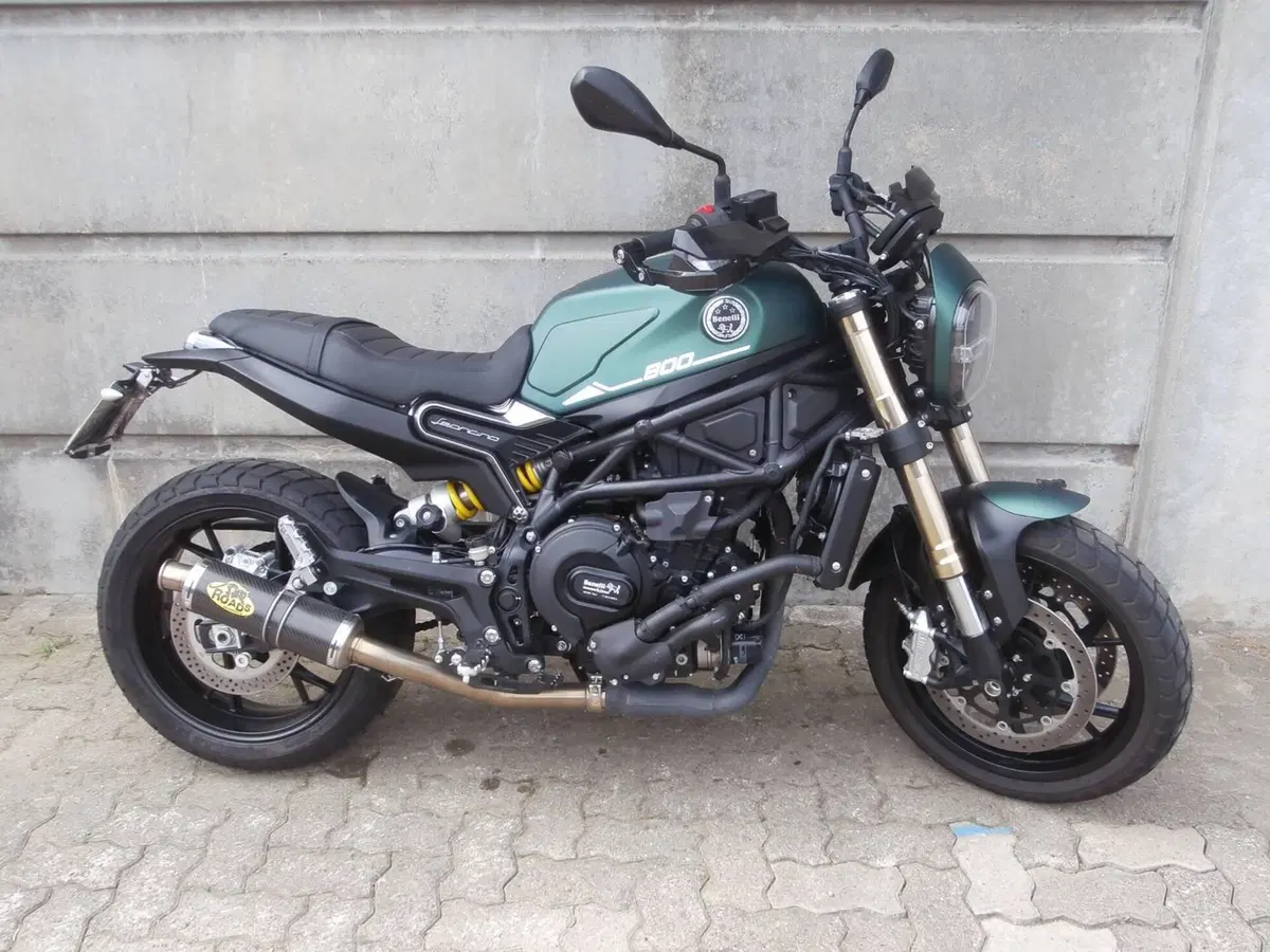 Benelli Leoncino 800 (2022 - 26) (7)