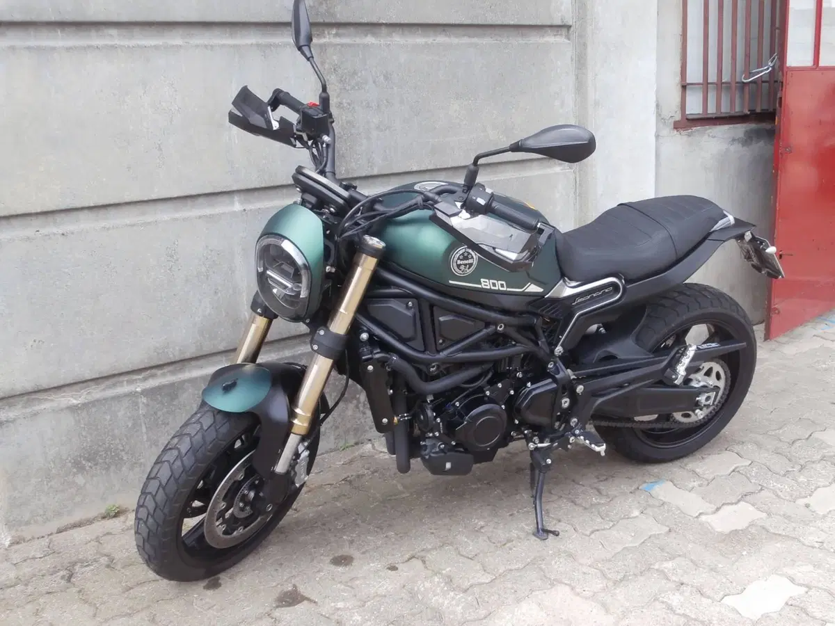 Benelli Leoncino 800 (2022 - 26) (6)