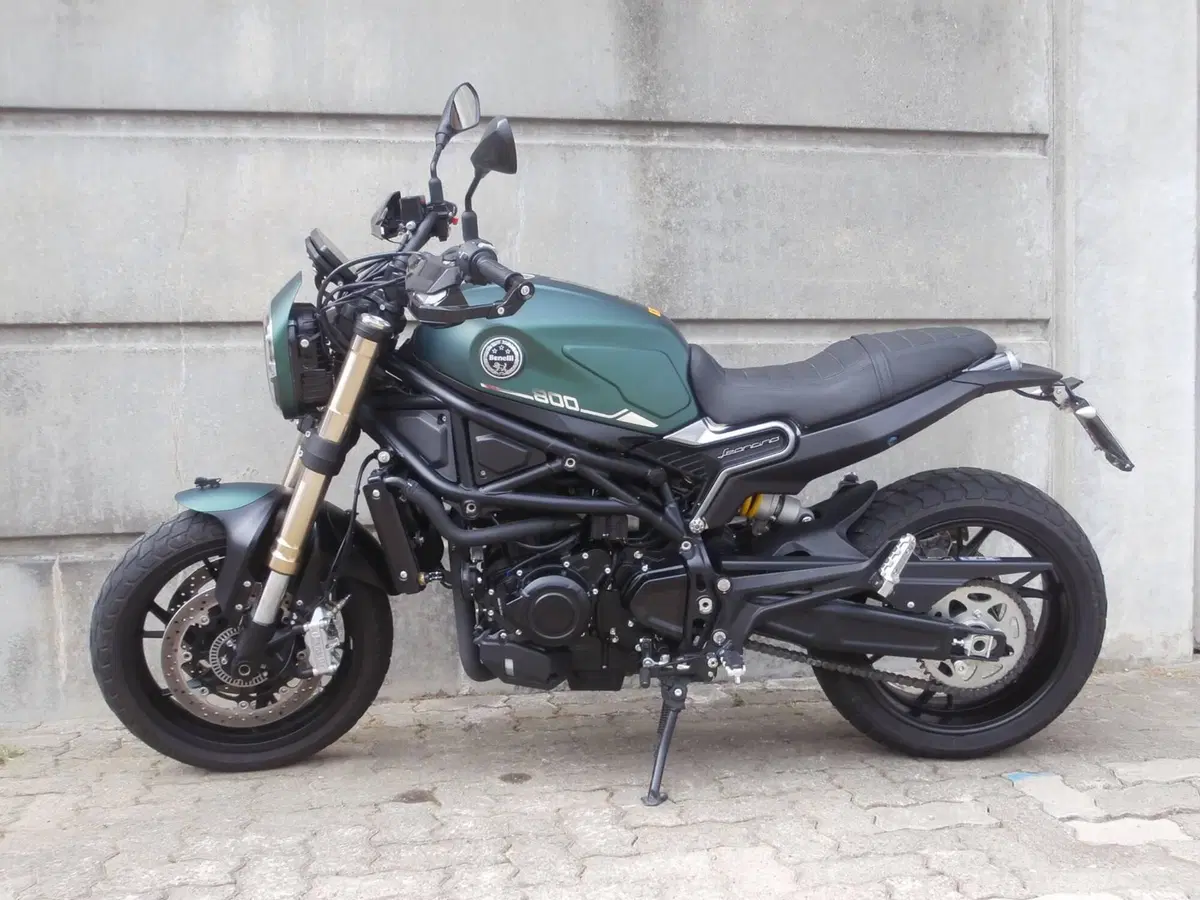 Benelli Leoncino 800 (2022 - 26) (4)