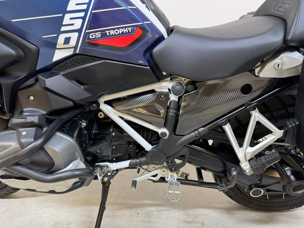Bmw R 1250 GS (2021 - 24) (10)