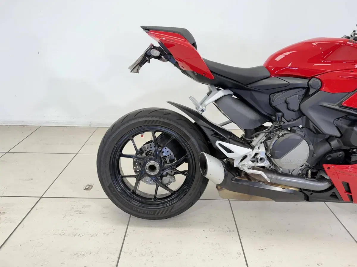 Ducati Streetfighter V2 (2022 - 24) (17)