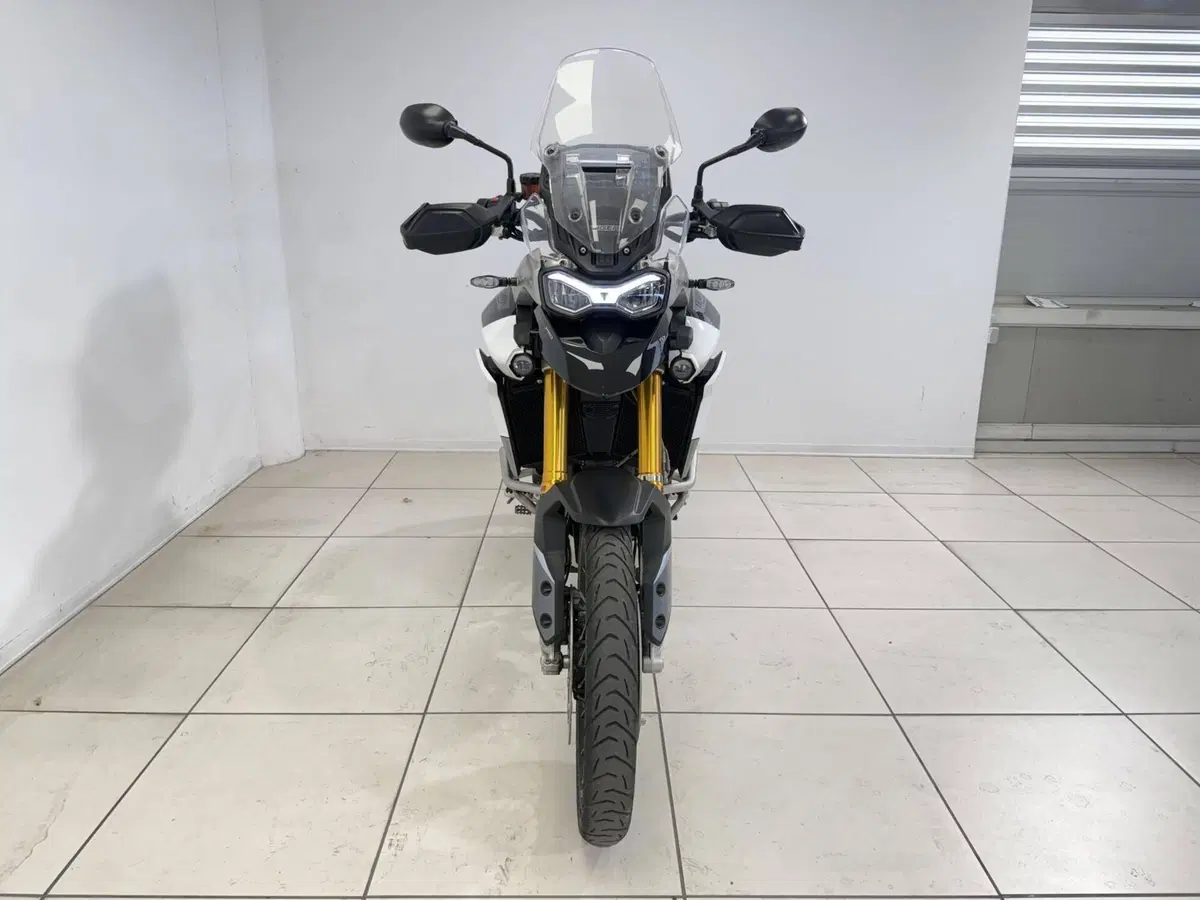 Triumph Tiger 900 Rally Pro (2020 - 23) (3)