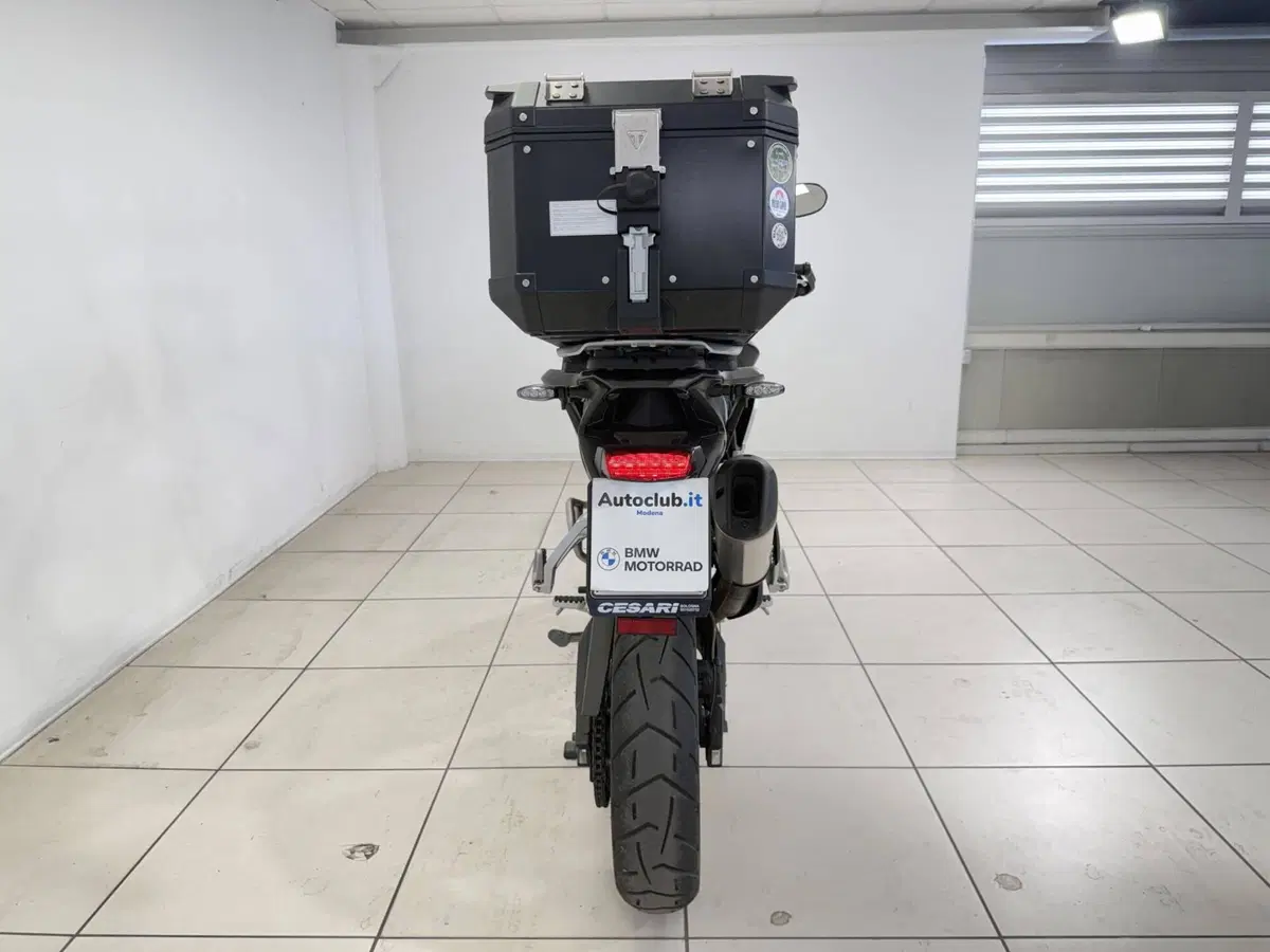 Triumph Tiger 900 Rally Pro (2020 - 23) (7)