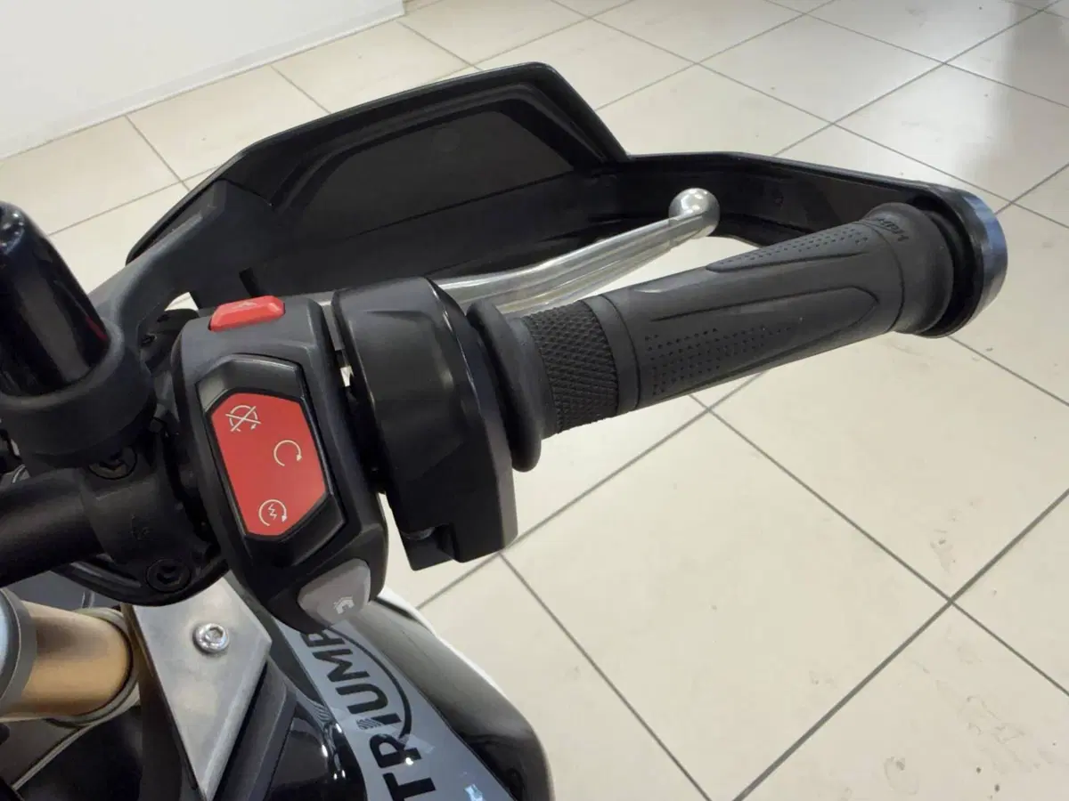 Triumph Tiger 900 Rally Pro (2020 - 23) (11)