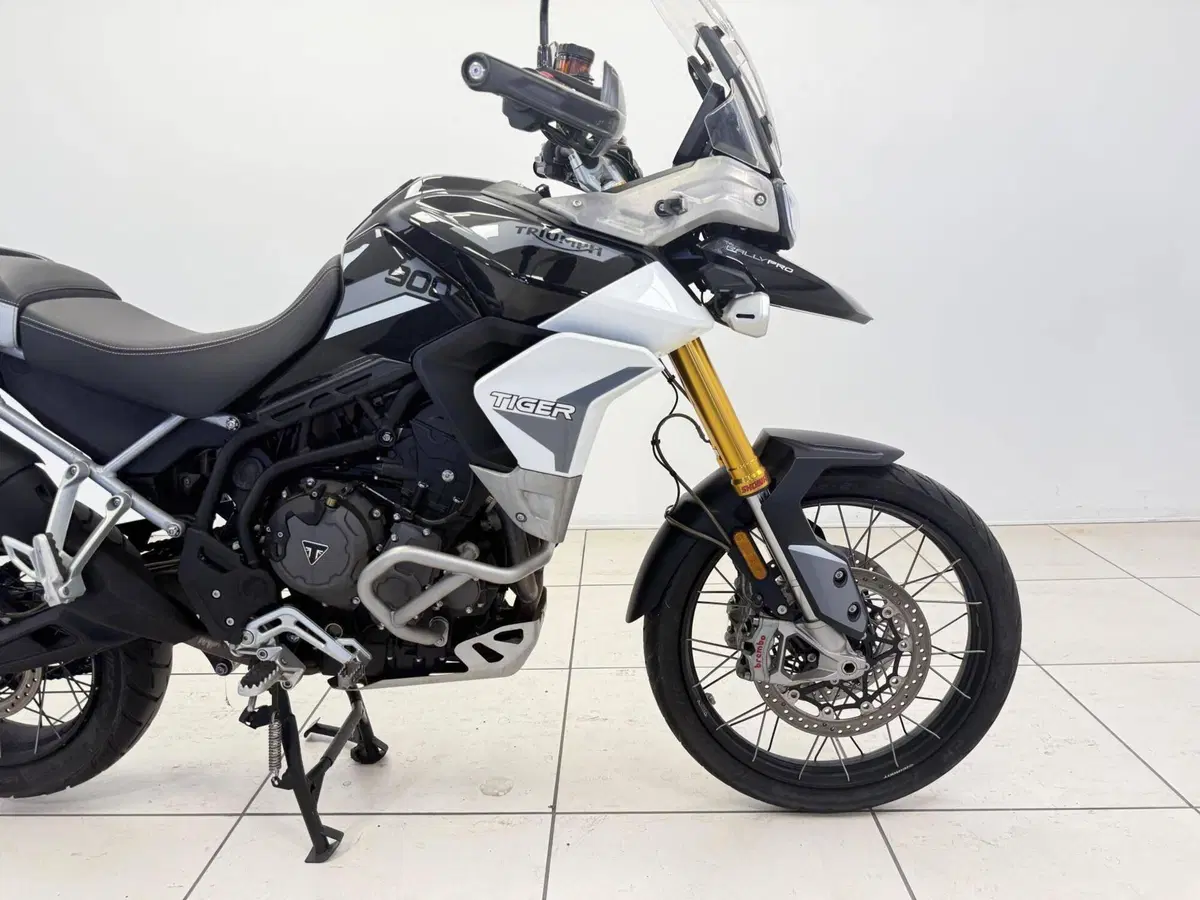 Triumph Tiger 900 Rally Pro (2020 - 23) (12)