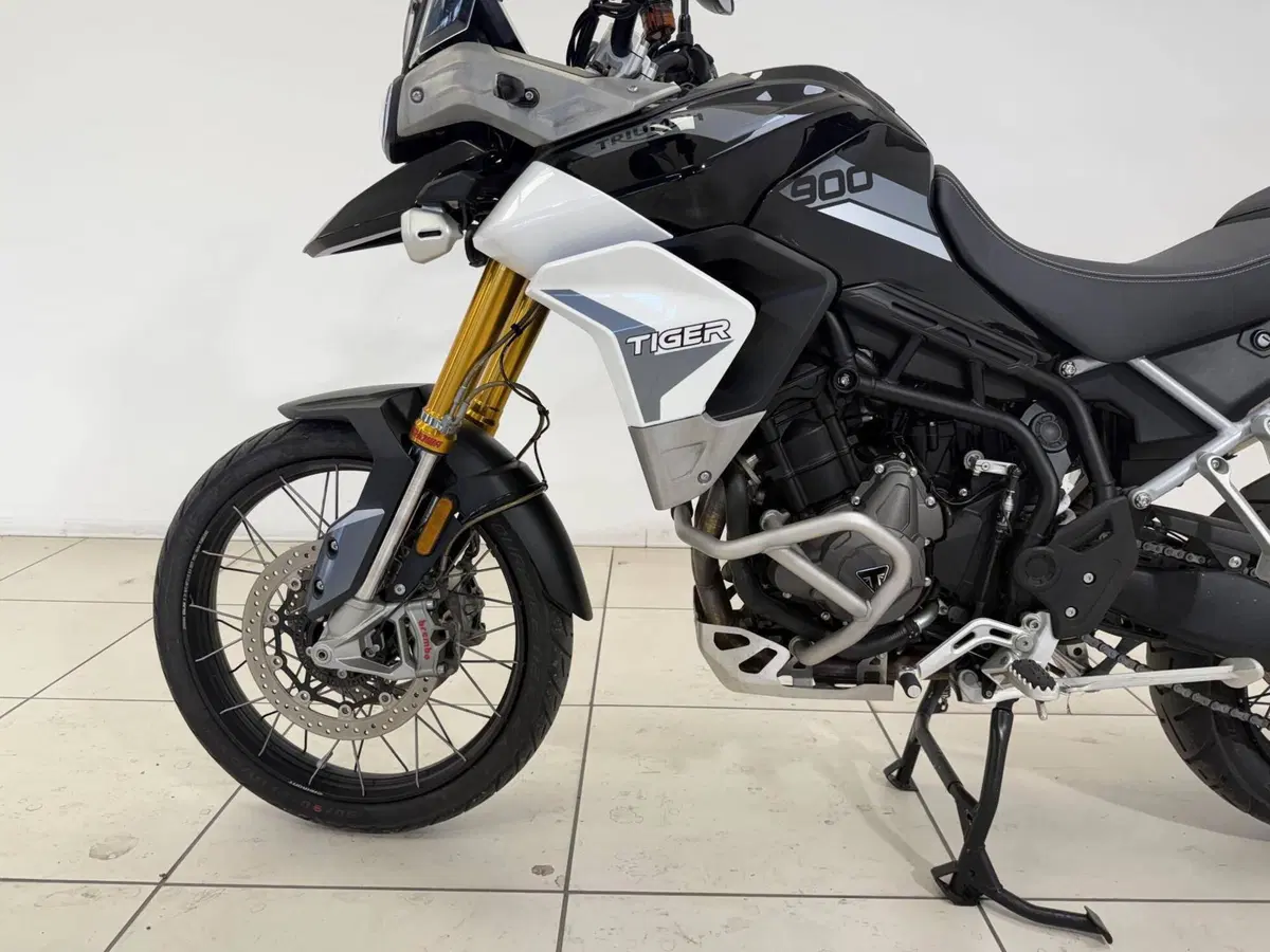 Triumph Tiger 900 Rally Pro (2020 - 23) (13)