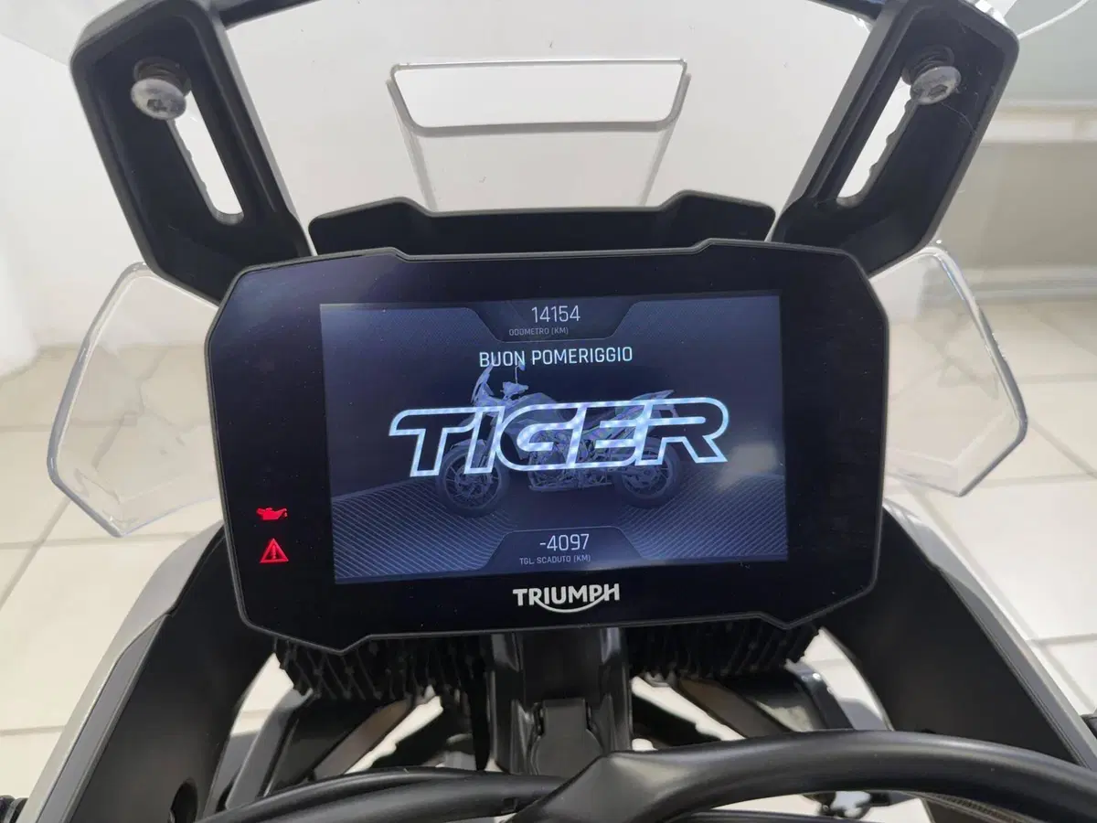 Triumph Tiger 900 Rally Pro (2020 - 23) (15)