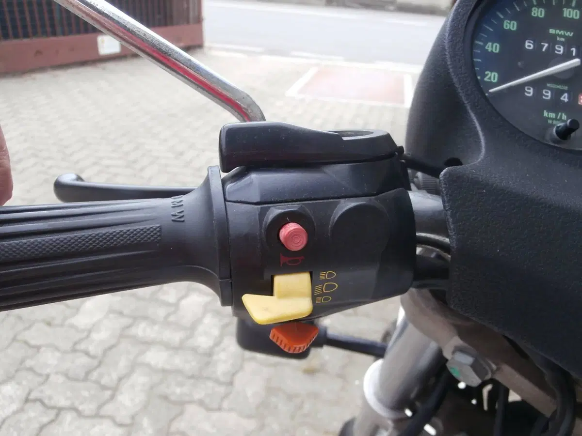 Bmw R 45 (11)