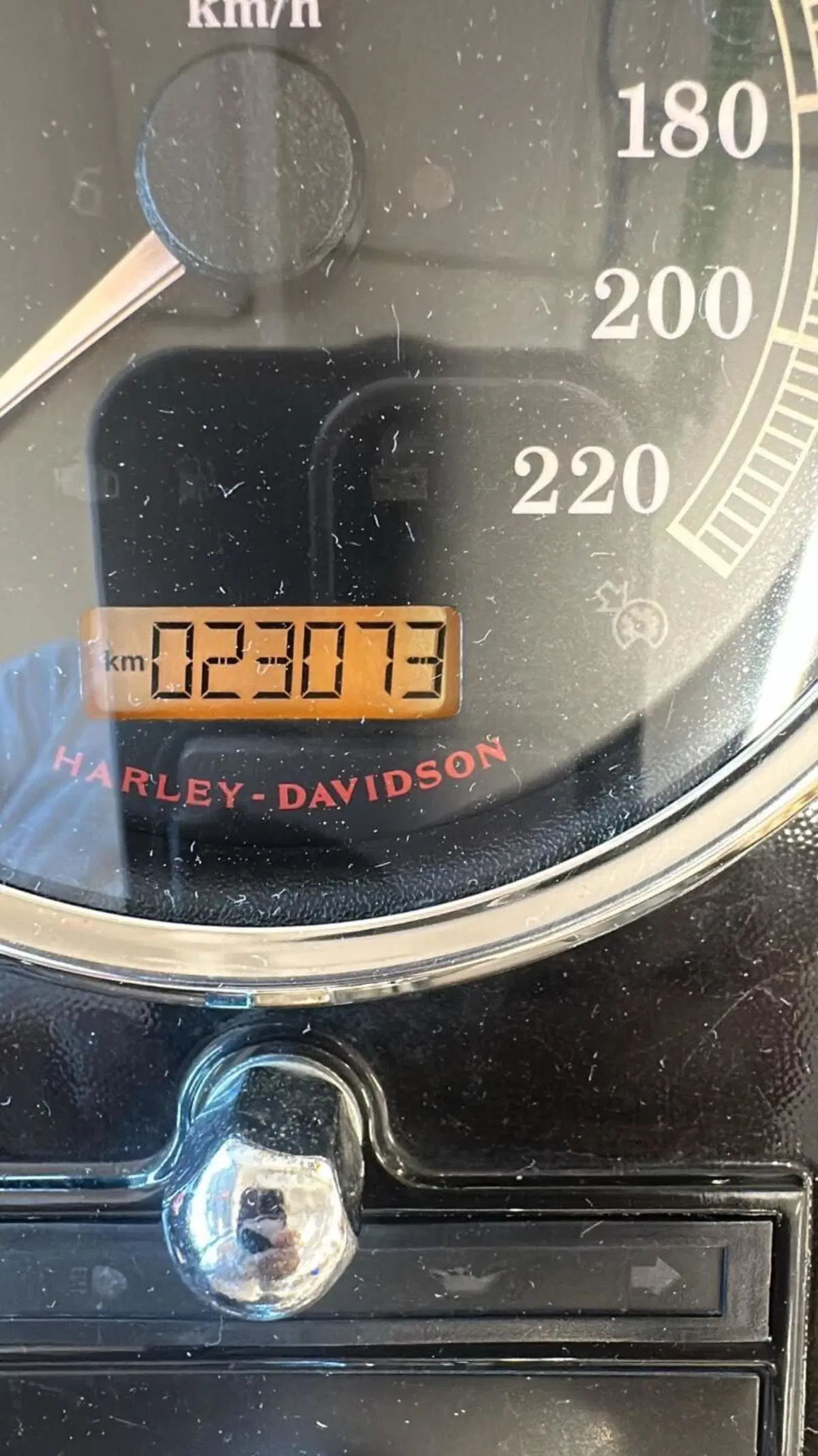 Harley-Davidson 107 Fat Boy (2017 - 20) - FLFB (11)