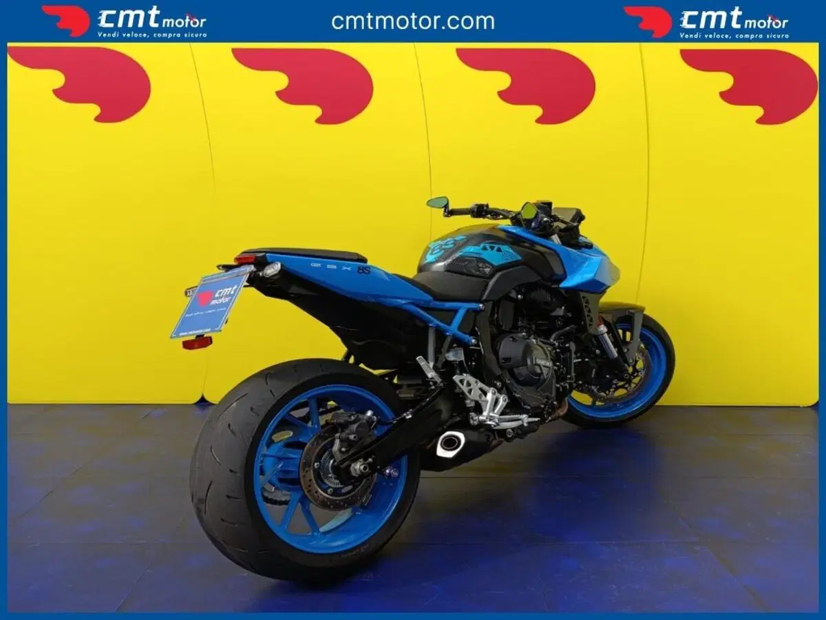 Suzuki GSX-8S (2023 - 24) (3)