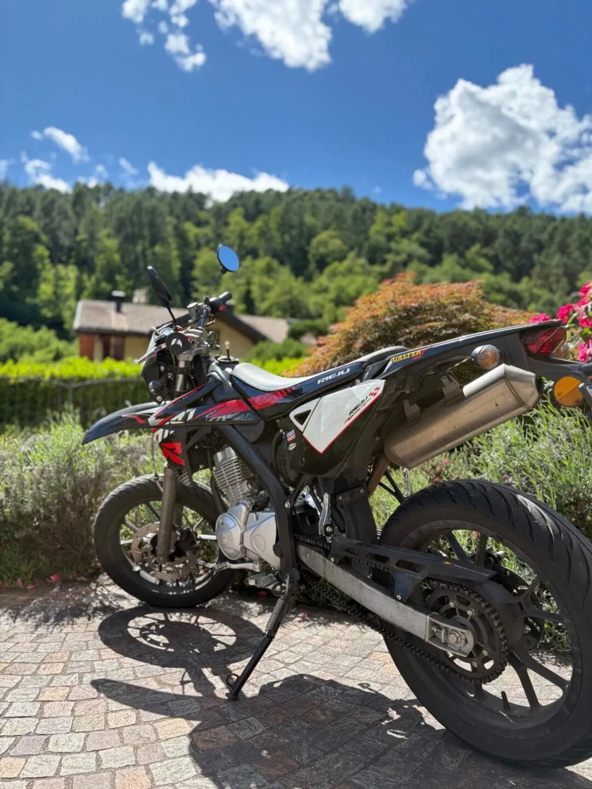 Rieju Marathon 125 Motard Pro (2017 - 20) (2)