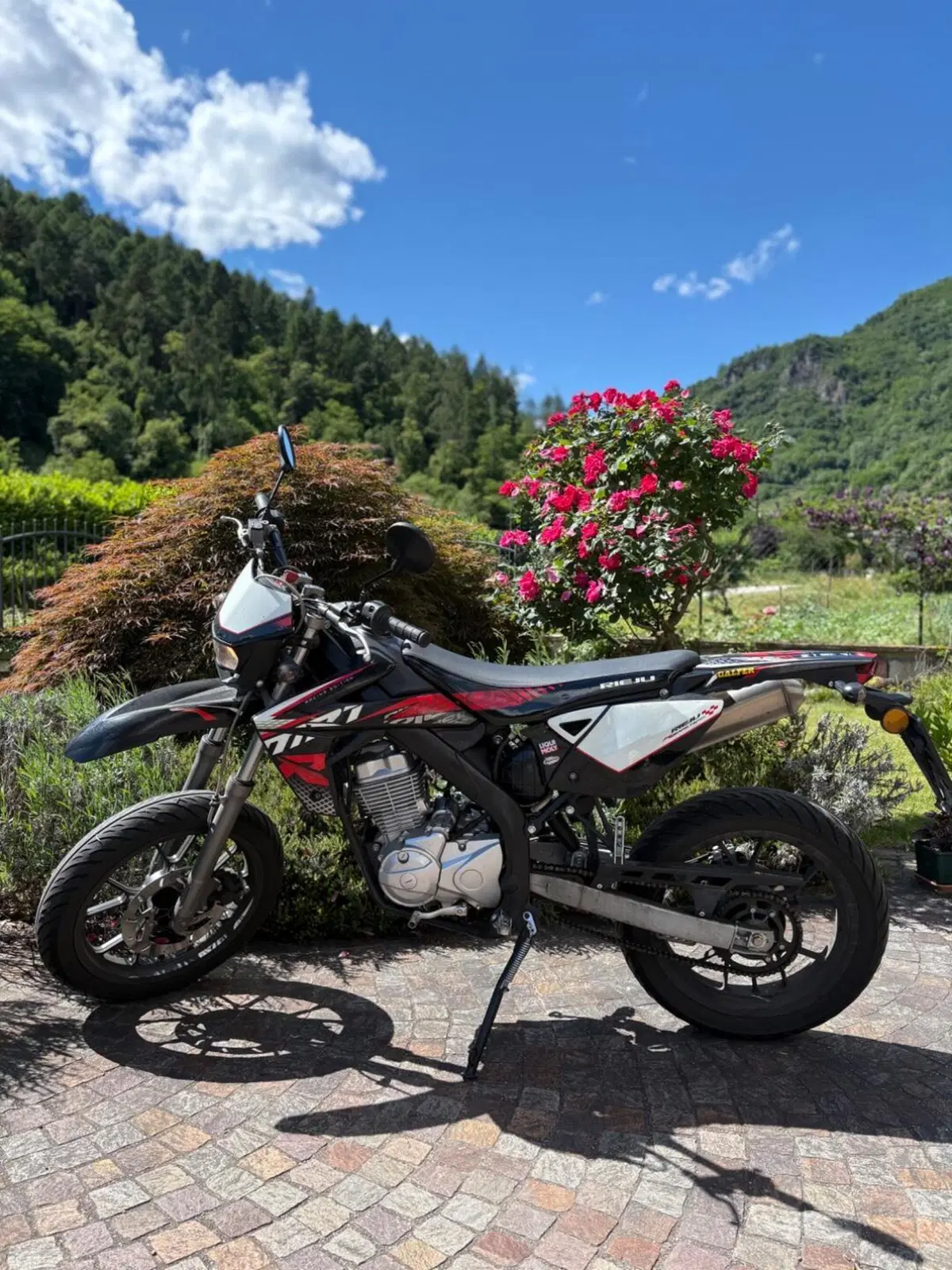 Rieju Marathon 125 Motard Pro (2017 - 20) (3)