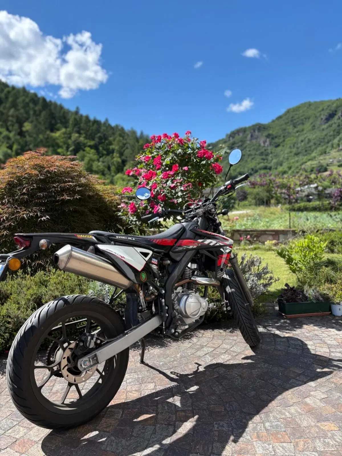 Rieju Marathon 125 Motard Pro (2017 - 20) (4)