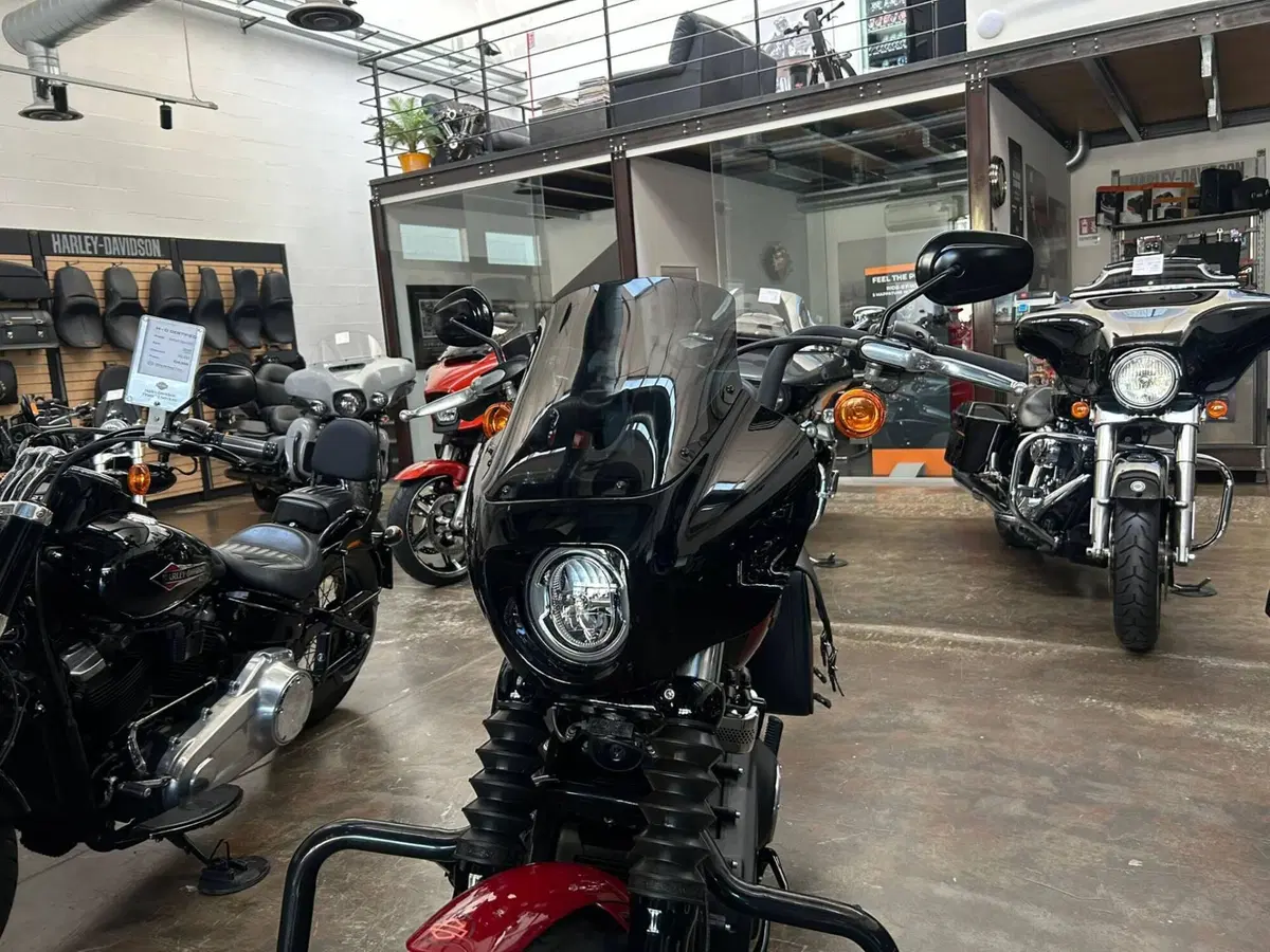 Harley-Davidson 107 Street Bob (2018 - 20) - FXBB (4)