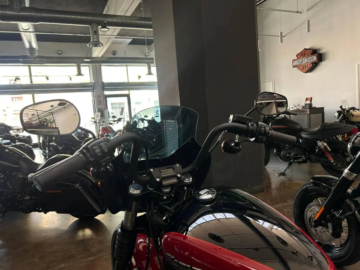 Harley-Davidson 107 Street Bob (2018 - 20) - FXBB (5)