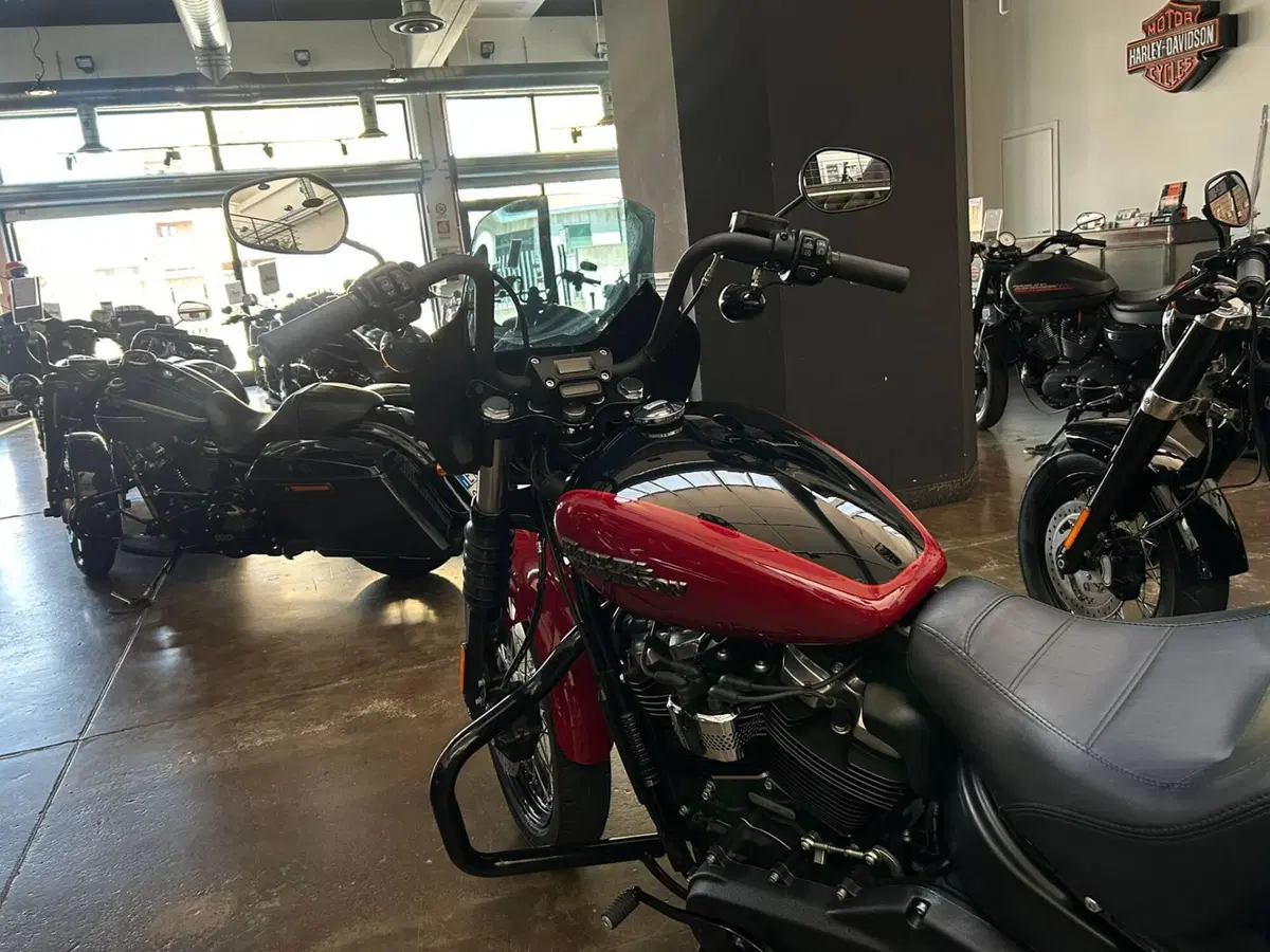 Harley-Davidson 107 Street Bob (2018 - 20) - FXBB (7)