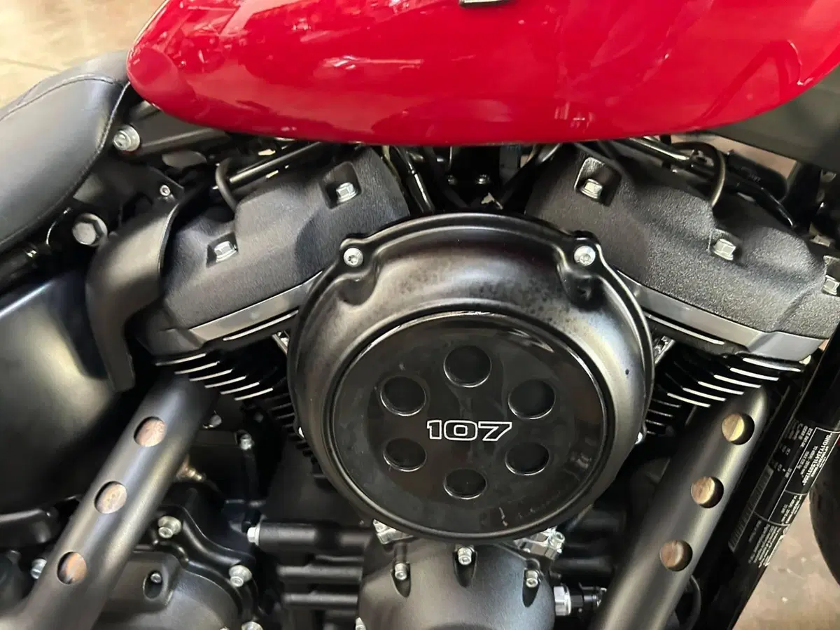 Harley-Davidson 107 Street Bob (2018 - 20) - FXBB (13)