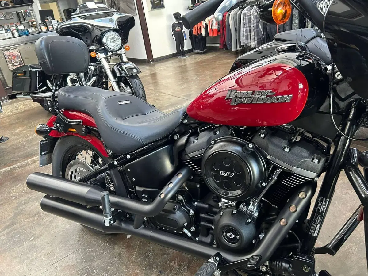 Harley-Davidson 107 Street Bob (2018 - 20) - FXBB (15)