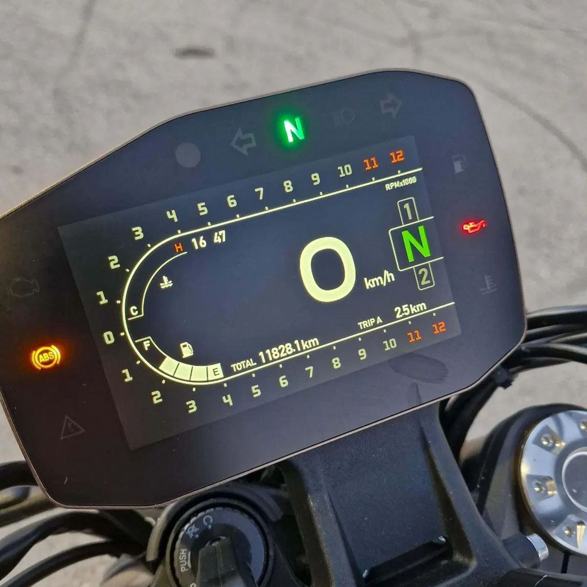 Benelli Leoncino 800 (2022 - 26) (7)