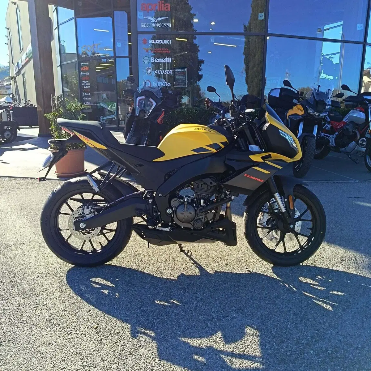 Aprilia Tuono 125 (2025 - 26) (7)