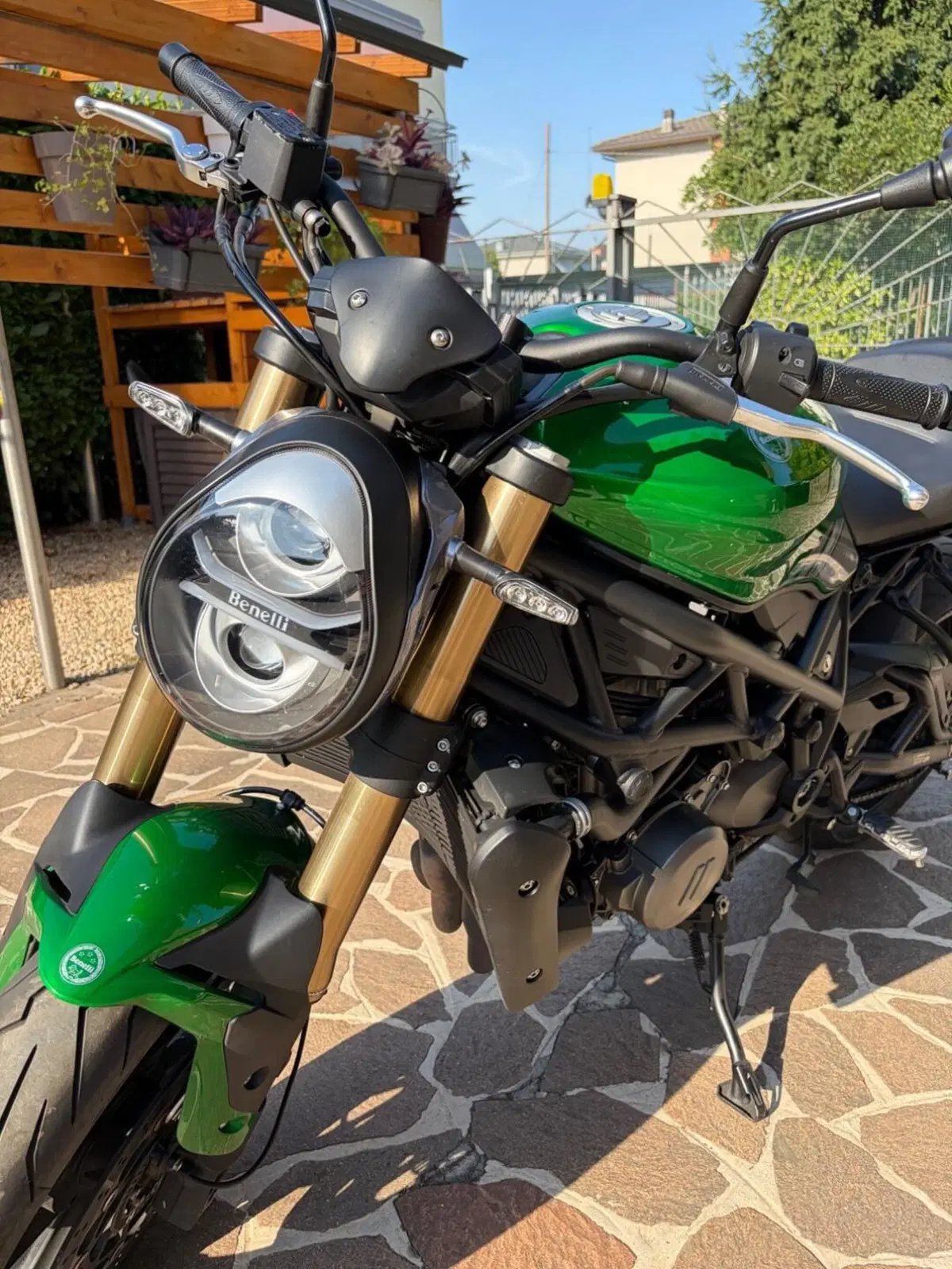 Benelli 752 S (2019 - 20) (5)
