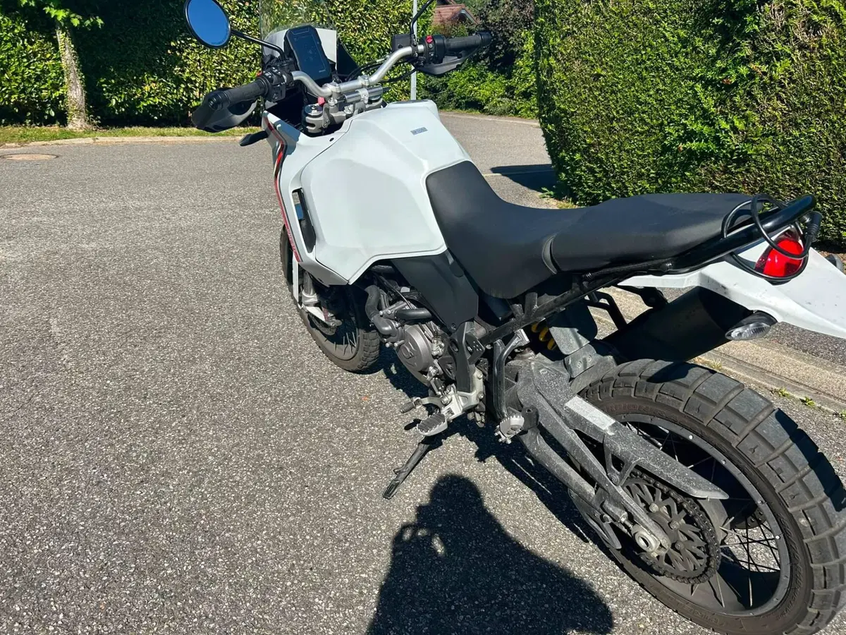 Ducati DesertX (2022 - 25) (6)