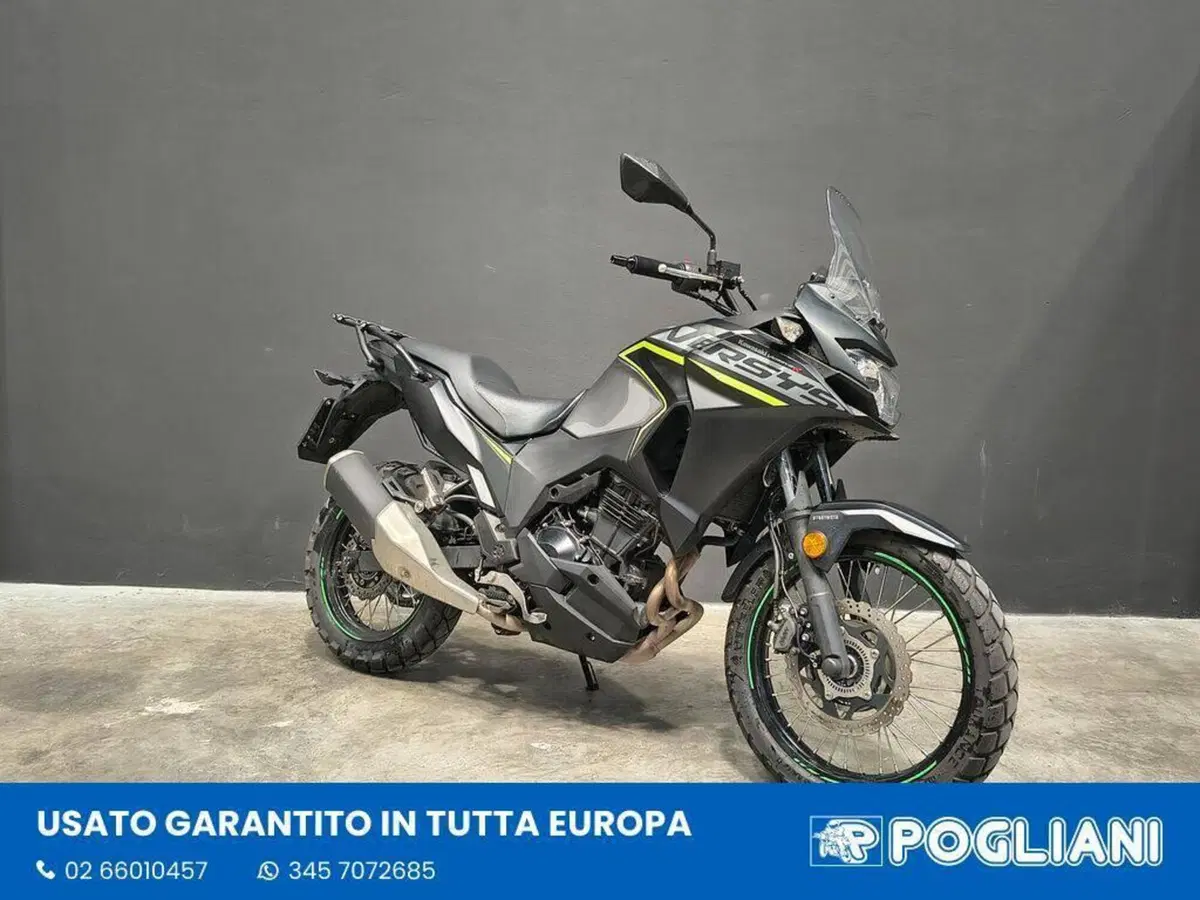 Kawasaki Versys-X 300 (2017 - 20) (2)