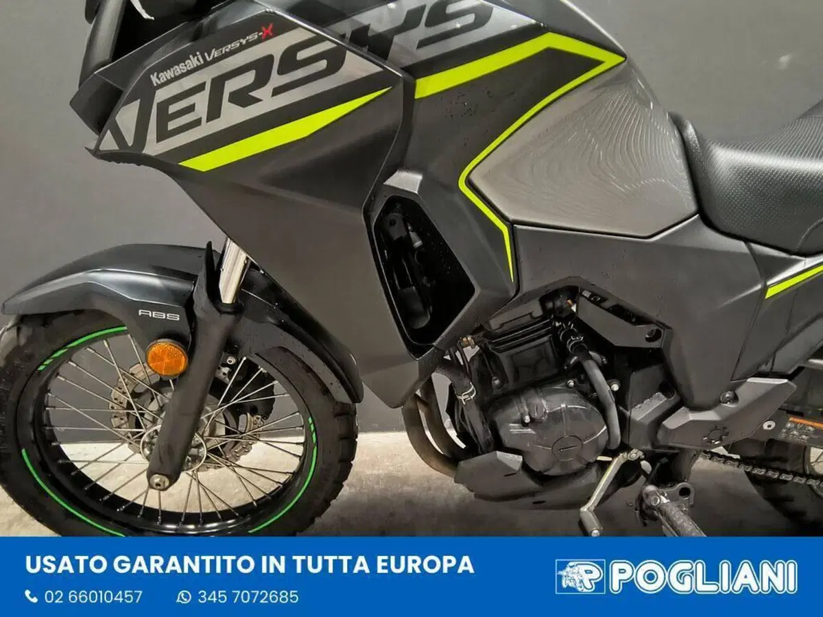 Kawasaki Versys-X 300 (2017 - 20) (9)