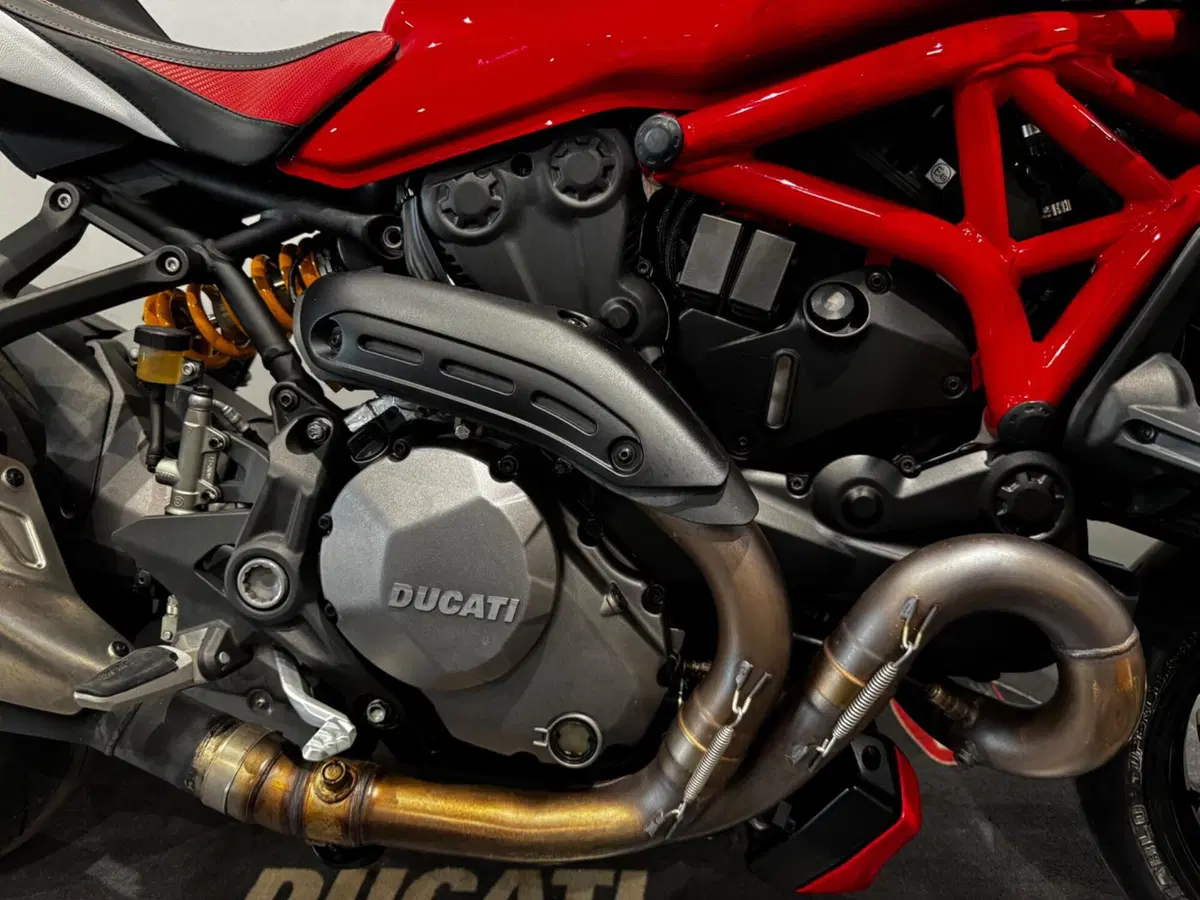 Ducati Monster 1200 (2017 - 21) (6)