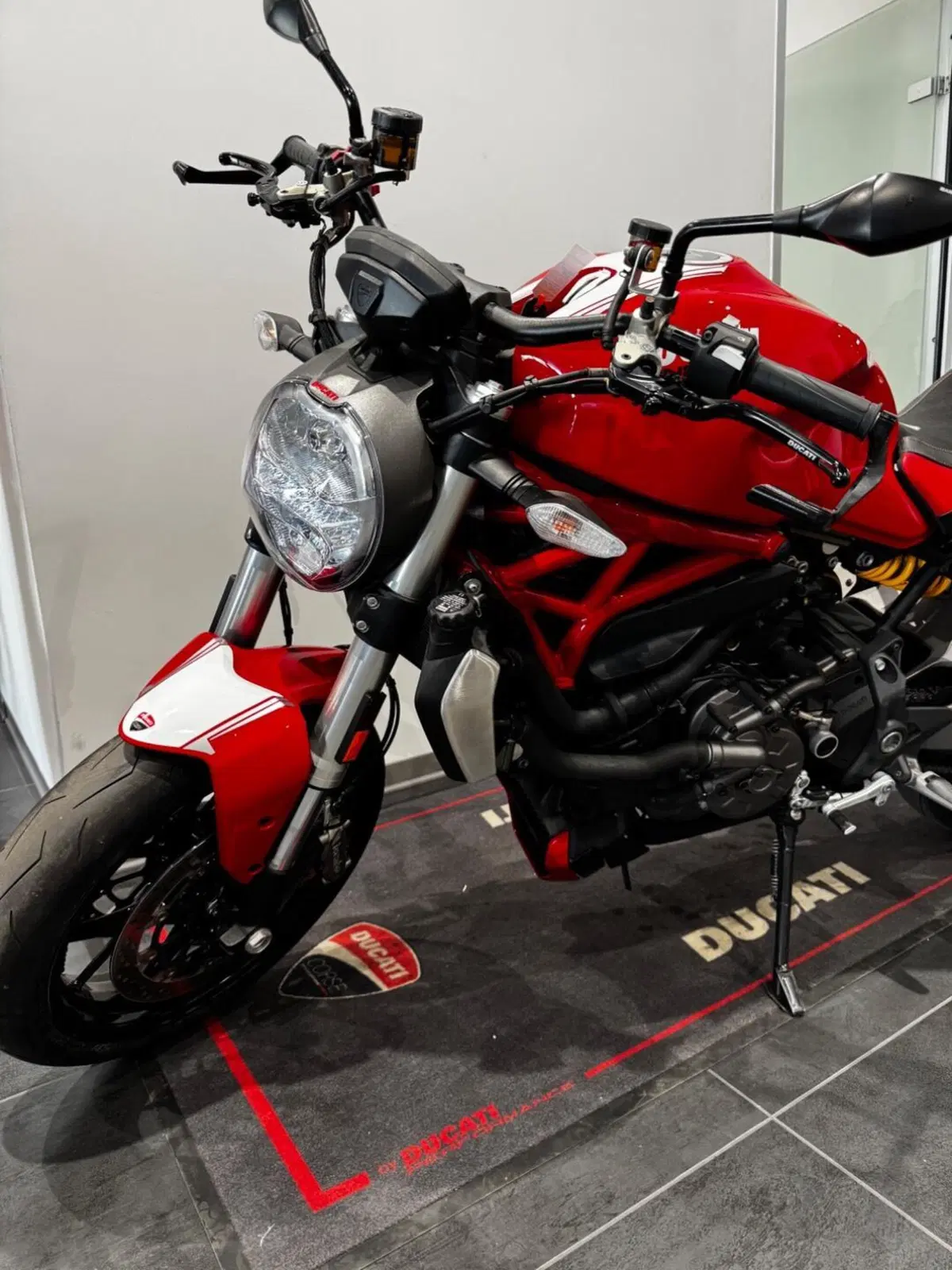 Ducati Monster 1200 (2017 - 21) (12)