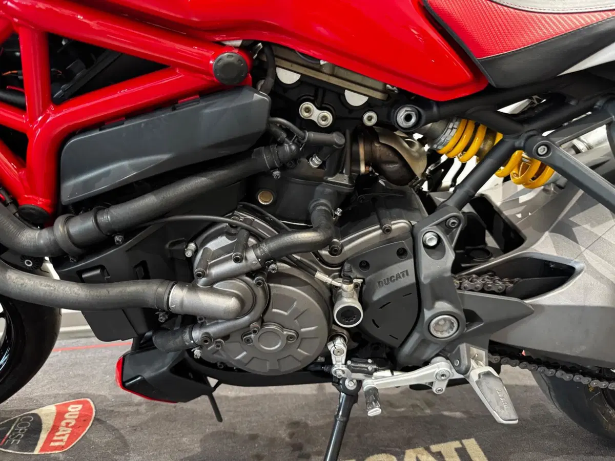 Ducati Monster 1200 (2017 - 21) (14)