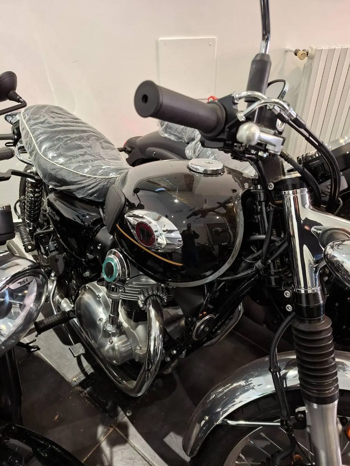 Kawasaki W 800 (2021 - 26)