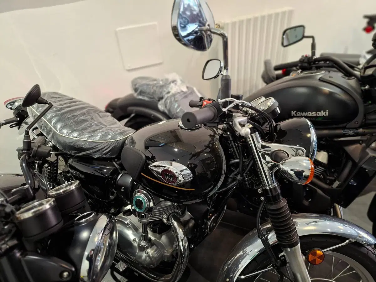 Kawasaki W 800 (2021 - 26) (2)