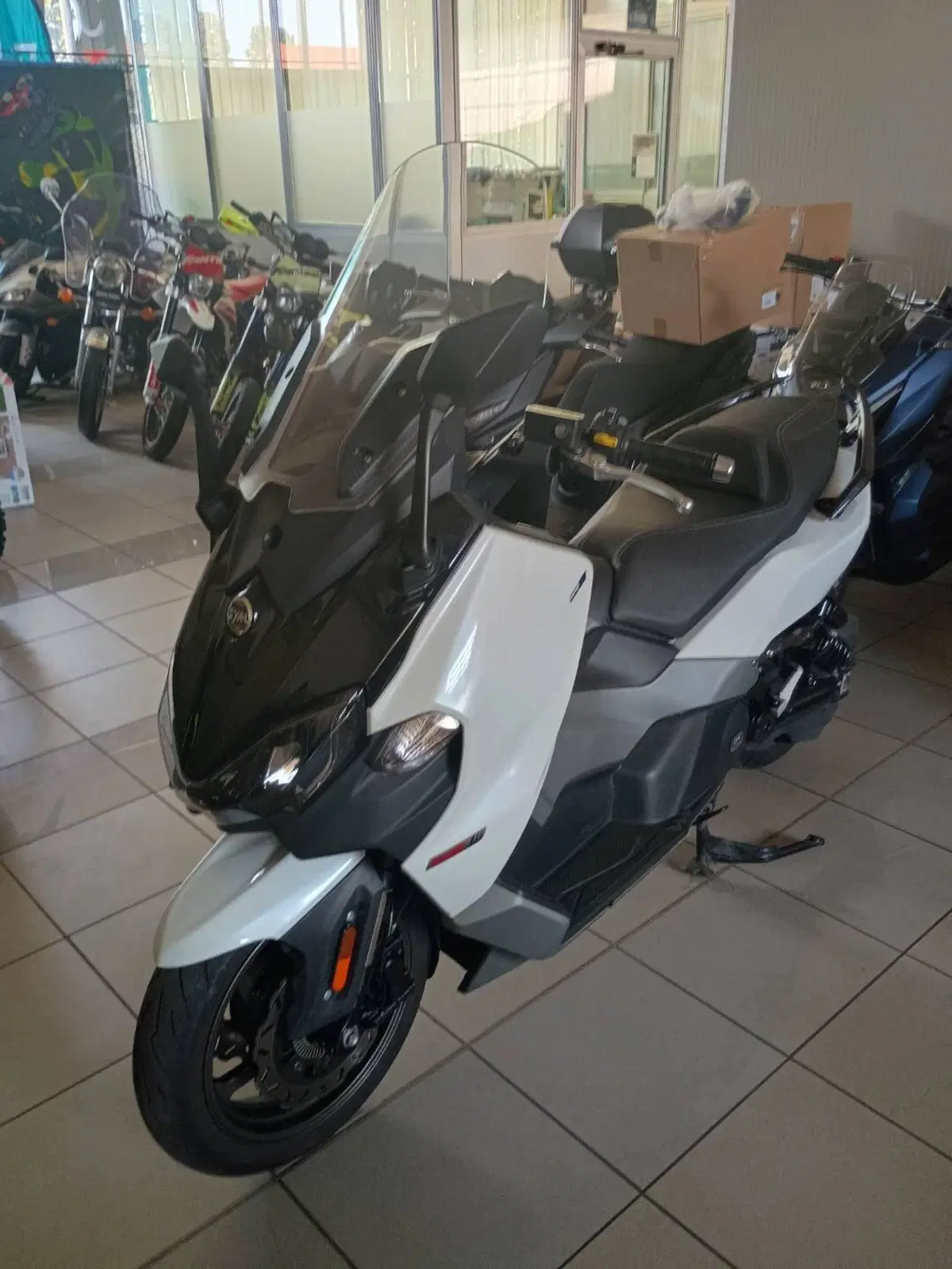 Sym Maxsym TL 508 (2021 - 24) (5)