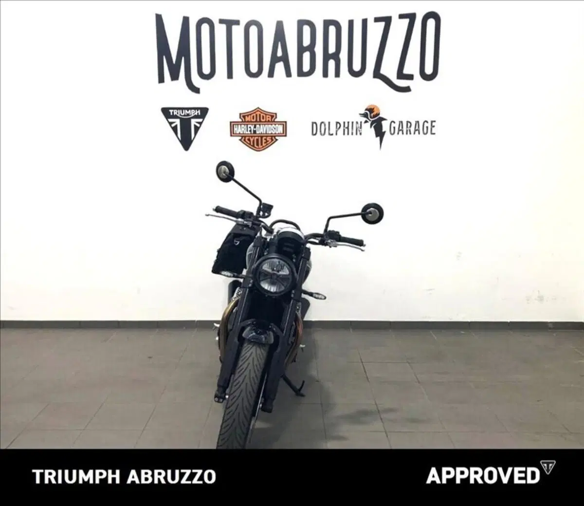Triumph Speed Twin 900 (2025 - 26) (13)