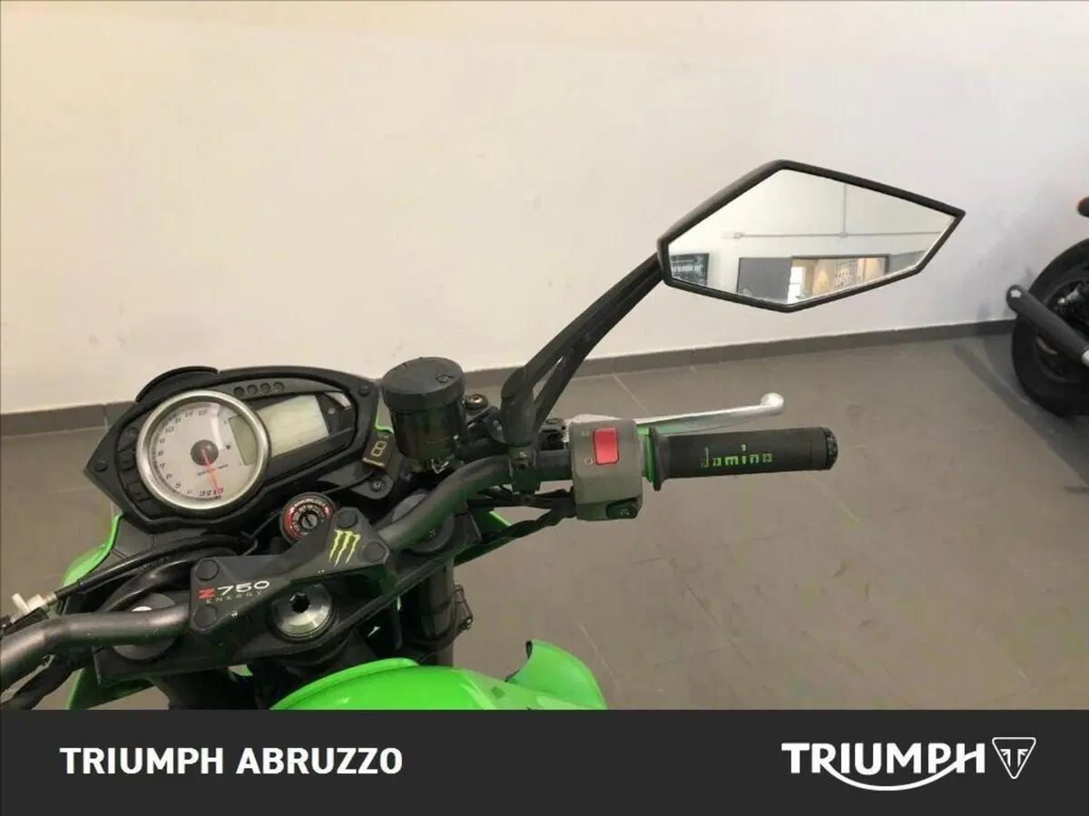 Kawasaki Z 750 (2003 - 06) (9)