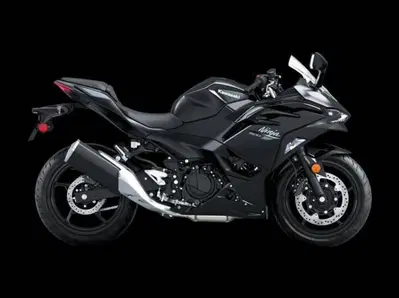 Kawasaki Ninja 500 (2024 - 26) nuova