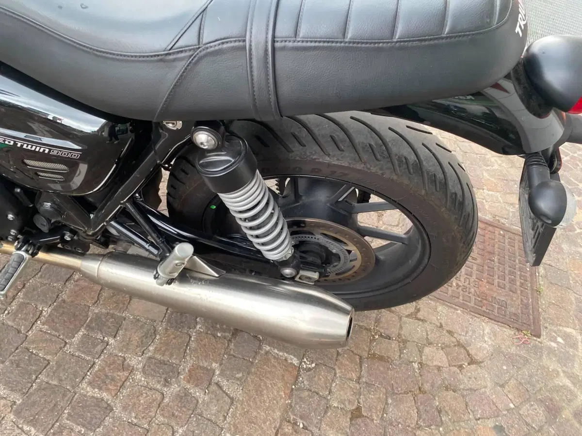 Triumph Speed Twin 900 (2023 - 24) (5)
