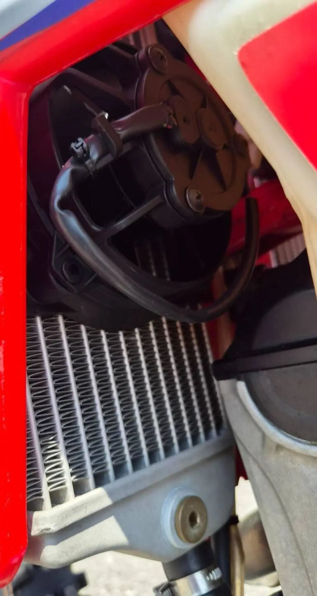 Betamotor RR 350 4T Enduro (2022) (8)