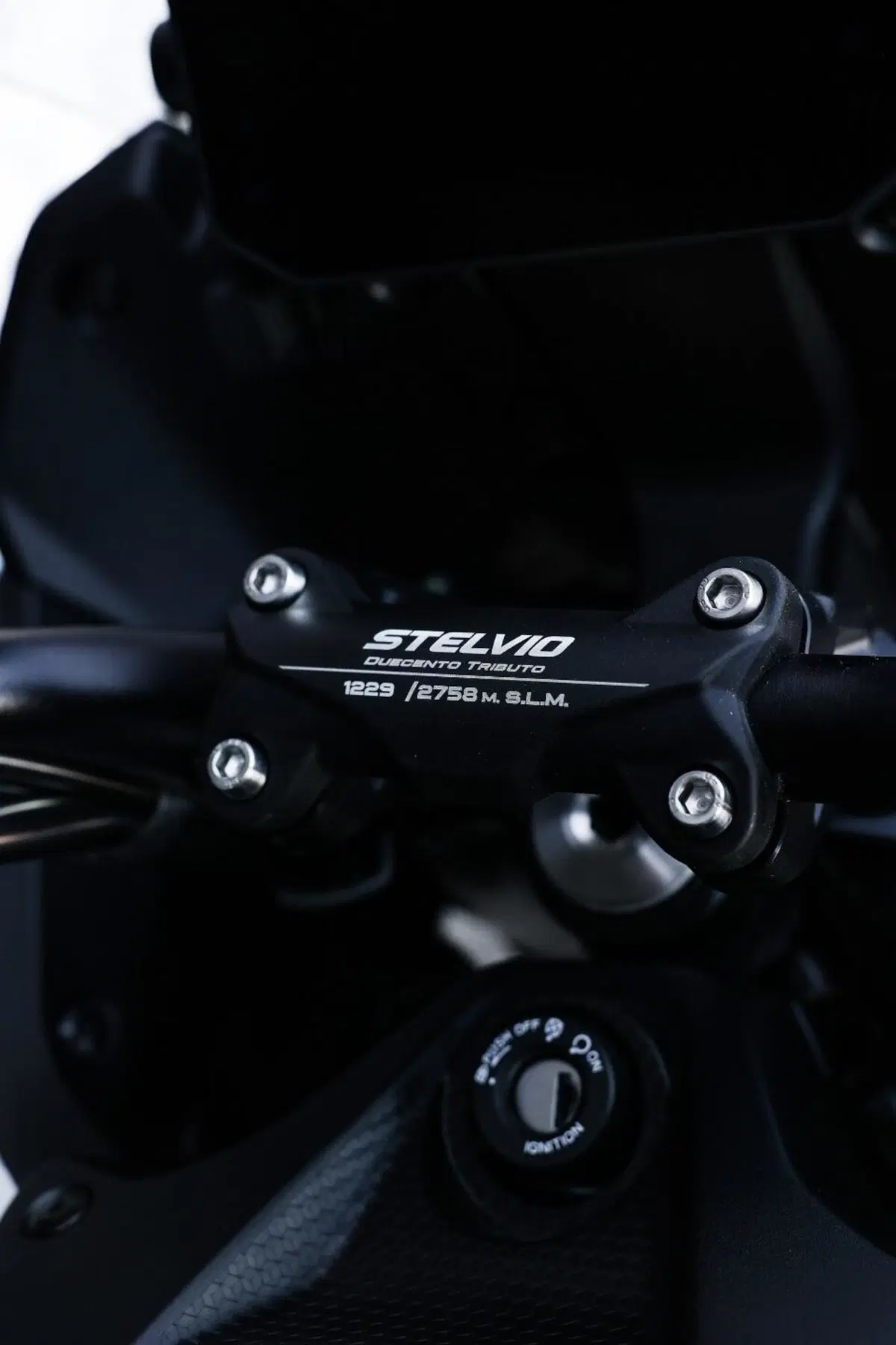 Moto Guzzi Stelvio Duecento Tributo (2025 - 26) (12)