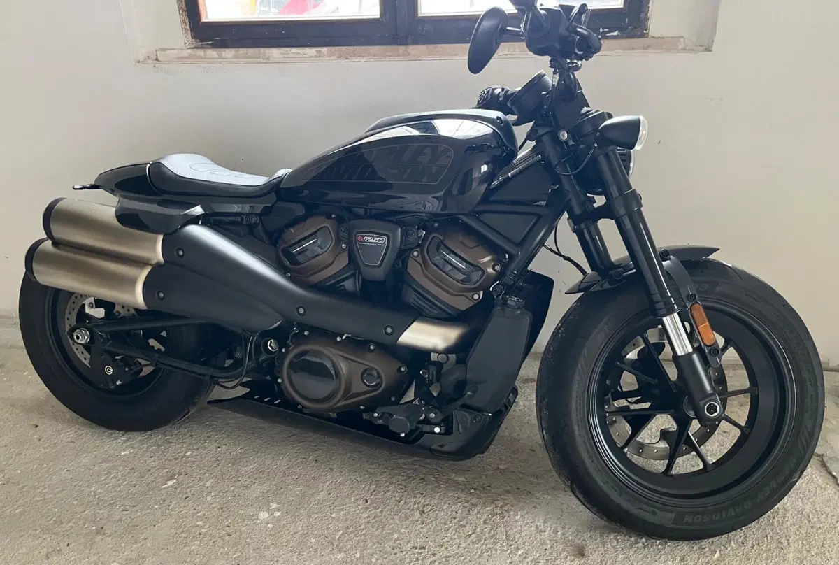Harley-Davidson Sportster S (2022 - 24) (2)