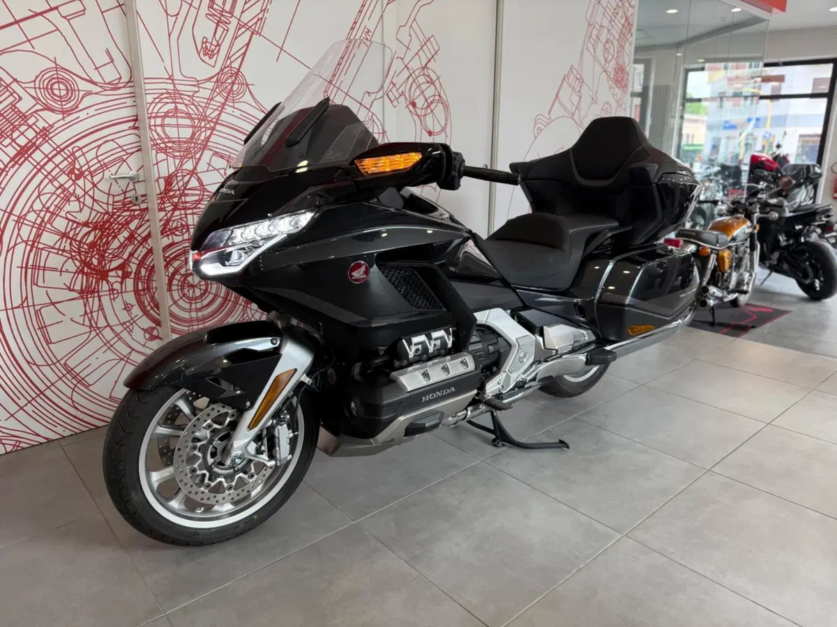 Honda GL 1800 Gold Wing Tour DCT & Airbag (2022 - 24) (5)