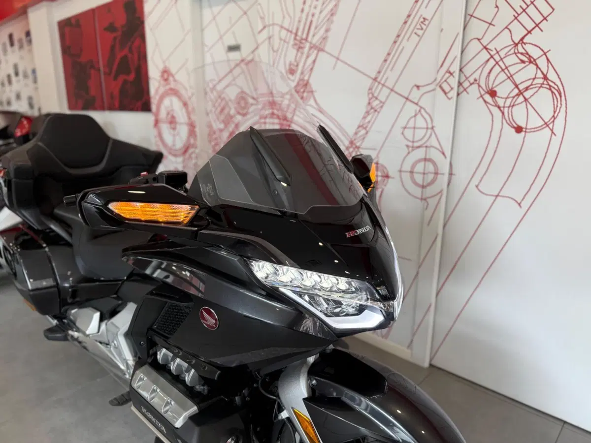 Honda GL 1800 Gold Wing Tour DCT & Airbag (2022 - 24) (10)