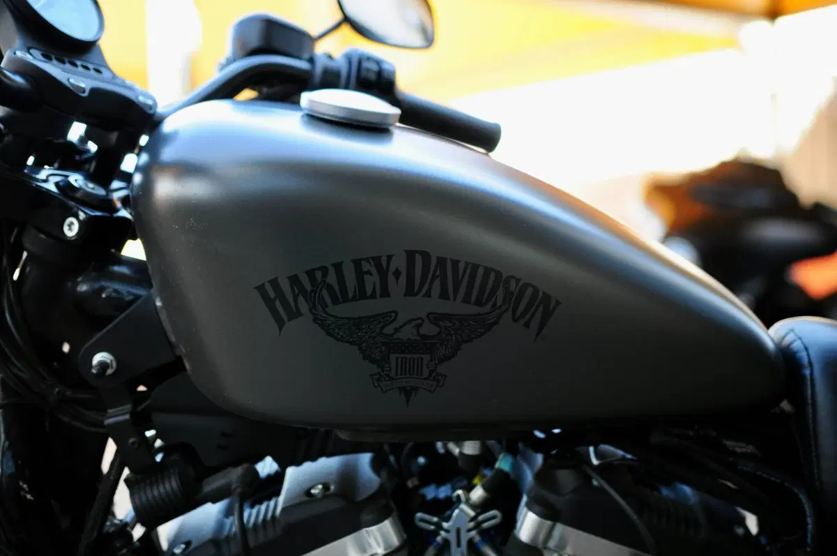 Harley-Davidson 883 Iron (2017 - 20) - XL 883N (5)