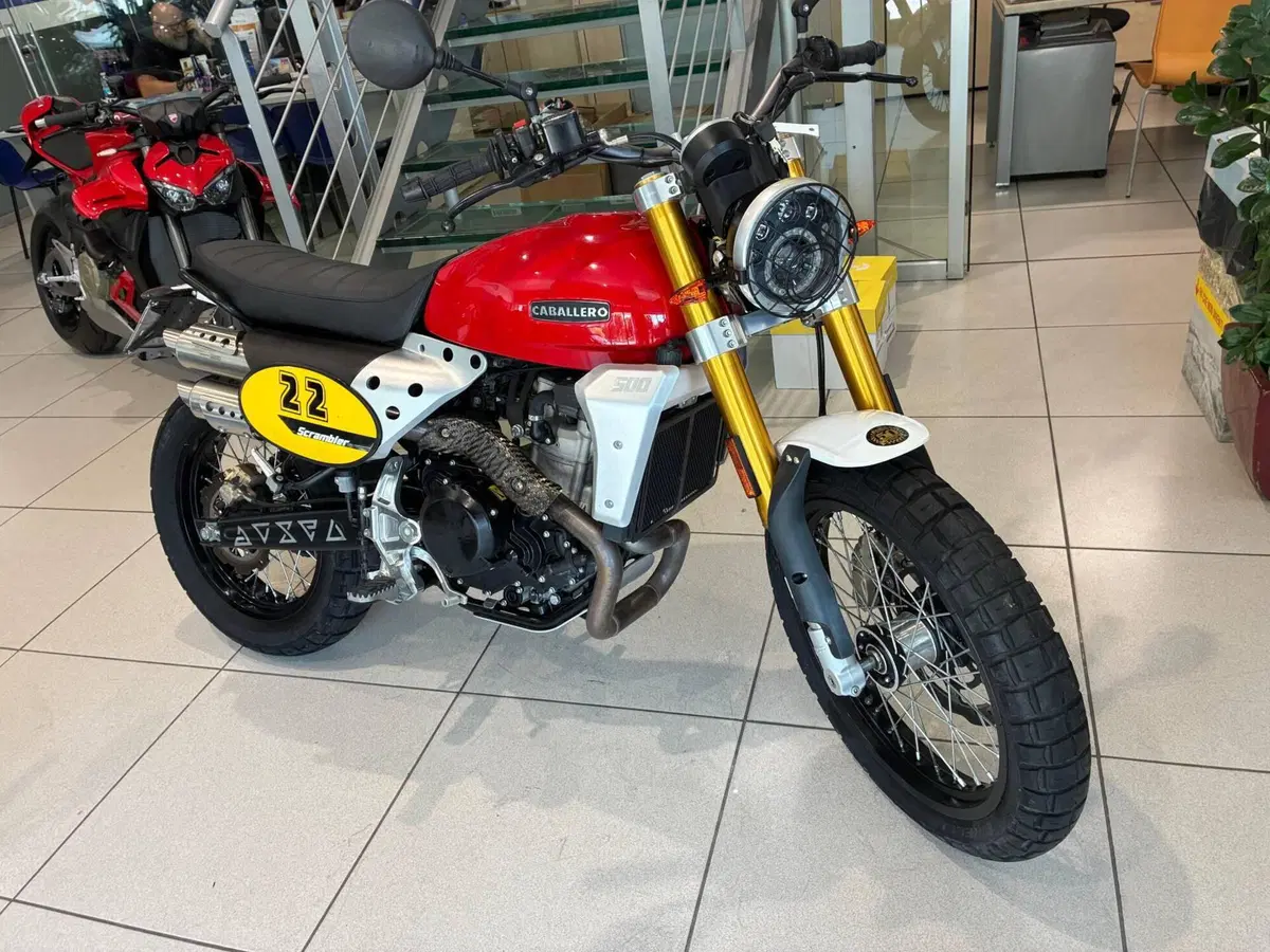 Fantic Motor Caballero 500 Scrambler 4T (2018 - 21) (2)