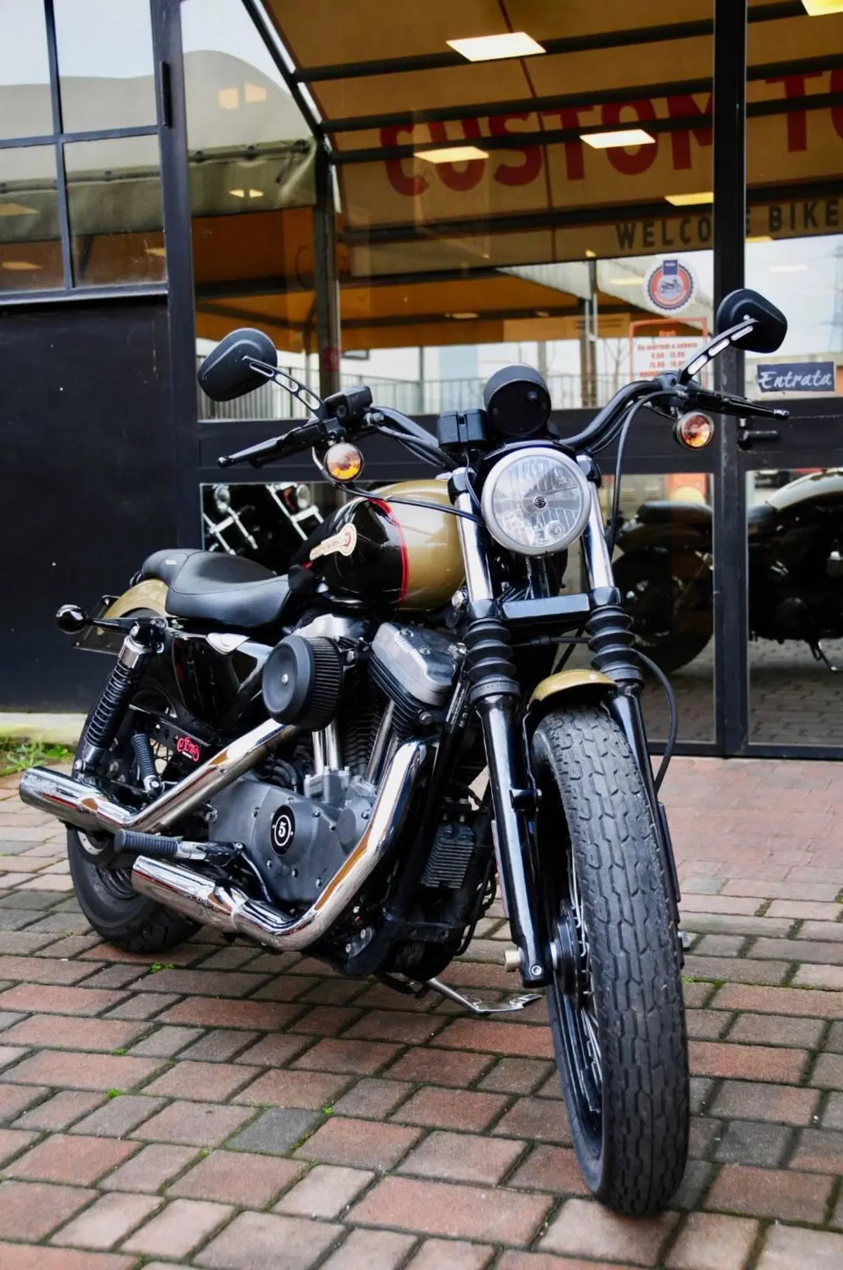 Harley-Davidson XL 1200N Nightster (2008 - 12) (5)