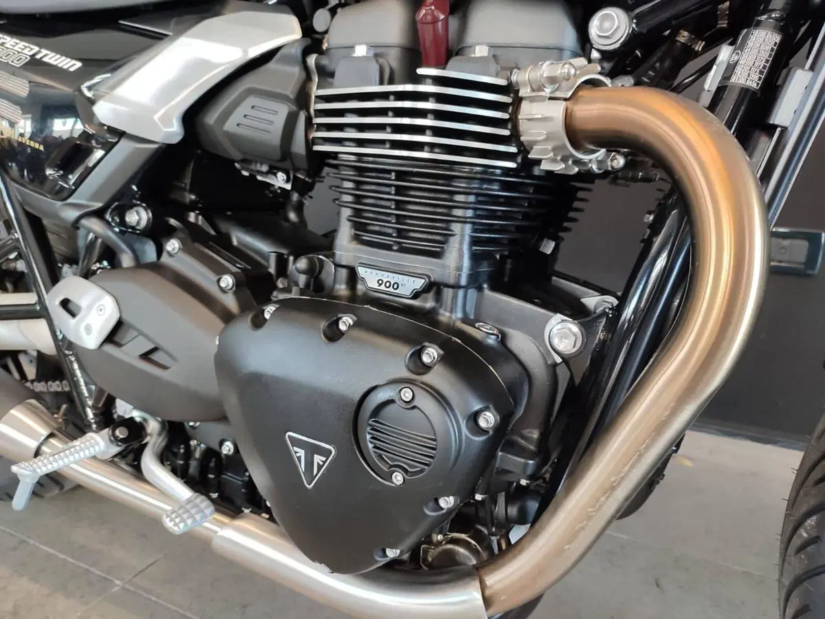 Triumph Speed Twin 900 (2025 - 26) (5)