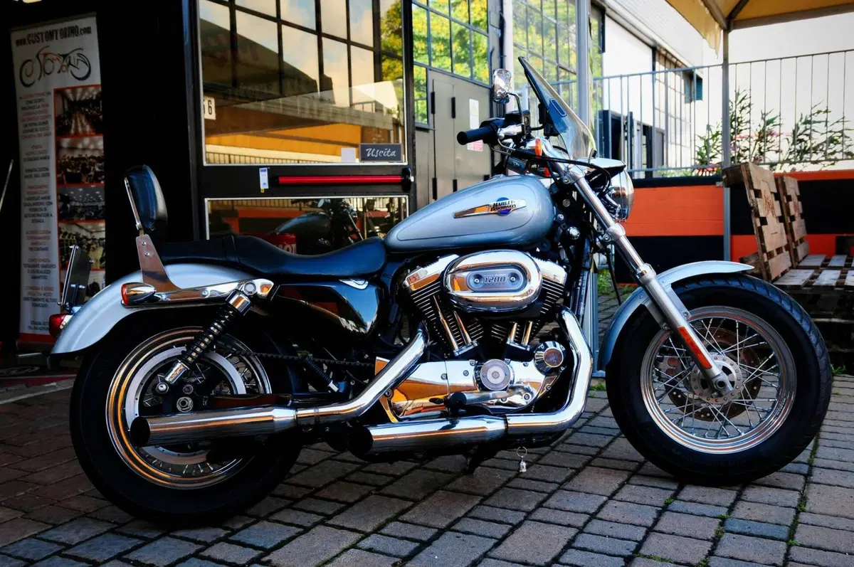 Harley-Davidson 1200 Custom (2007 - 13) - XL 1200C (2)