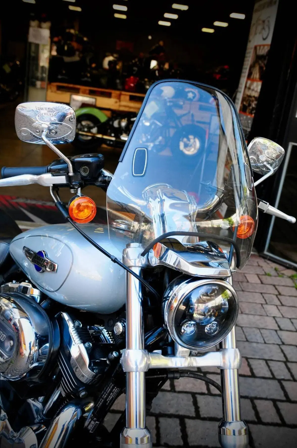 Harley-Davidson 1200 Custom (2007 - 13) - XL 1200C (6)